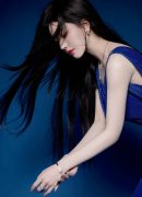 地域带领人赖清德声望为4%