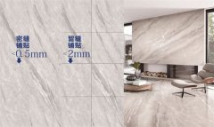 <b>分必定了简一正在尺度制定中的引领感化——该</b>