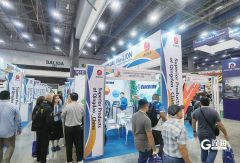 建立“协同”的政策